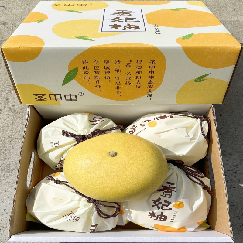 圣甲虫香妃柚4只礼盒装肉嫩多汁