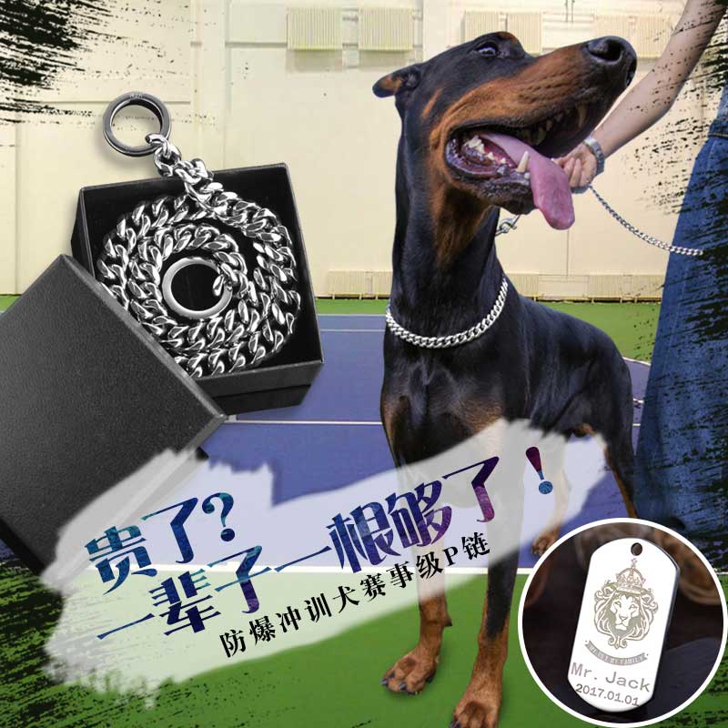 纯立方赛级专业训犬P链钛钢杜宾