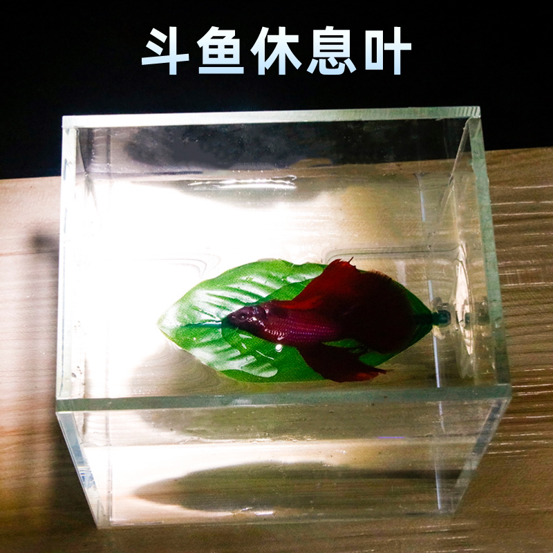 斗鱼叶子休息叶产卵叶双叶设计观赏装饰仿真水草鱼缸造景躲藏睡床