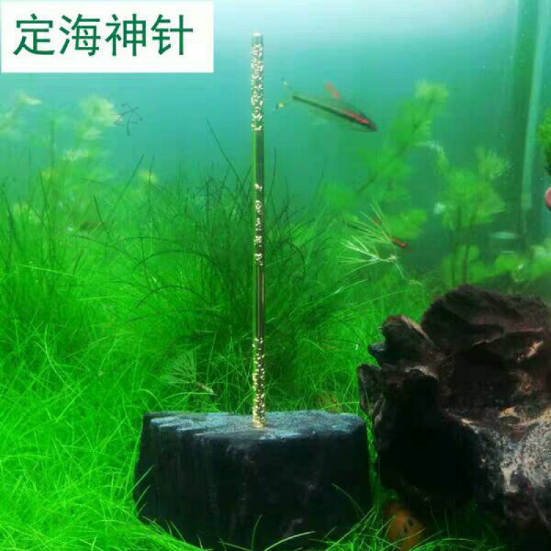 金箍棒鱼缸造景孙悟空沉木底座