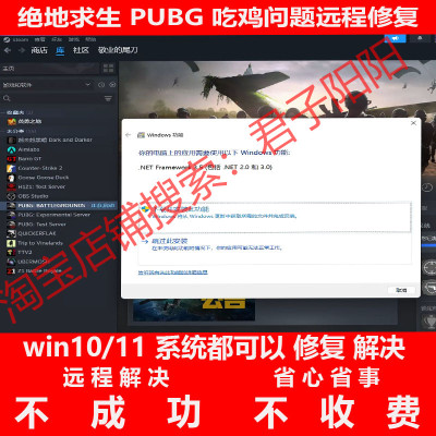 绝地求生pubg吃鸡打开net3.5报错