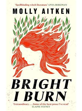 现货 我燃烧的光明 Molly Aitken 英文原版 Bright I Burn 外国文学小说