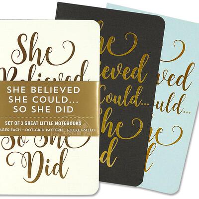 迷你笔记本套装 日记本 文创周边 Peter Pauper Press 英文原版  Jotter Mini Notebooks for Bullet Journaling