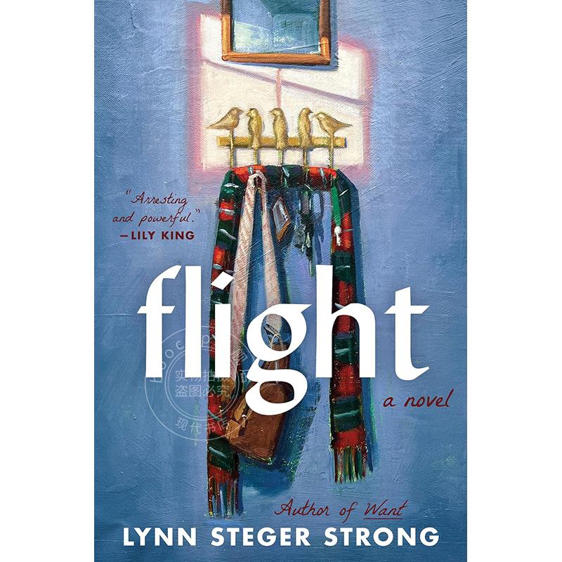 飞行 Lynn Steger Strong 英文原版 Flight 外国文学小说