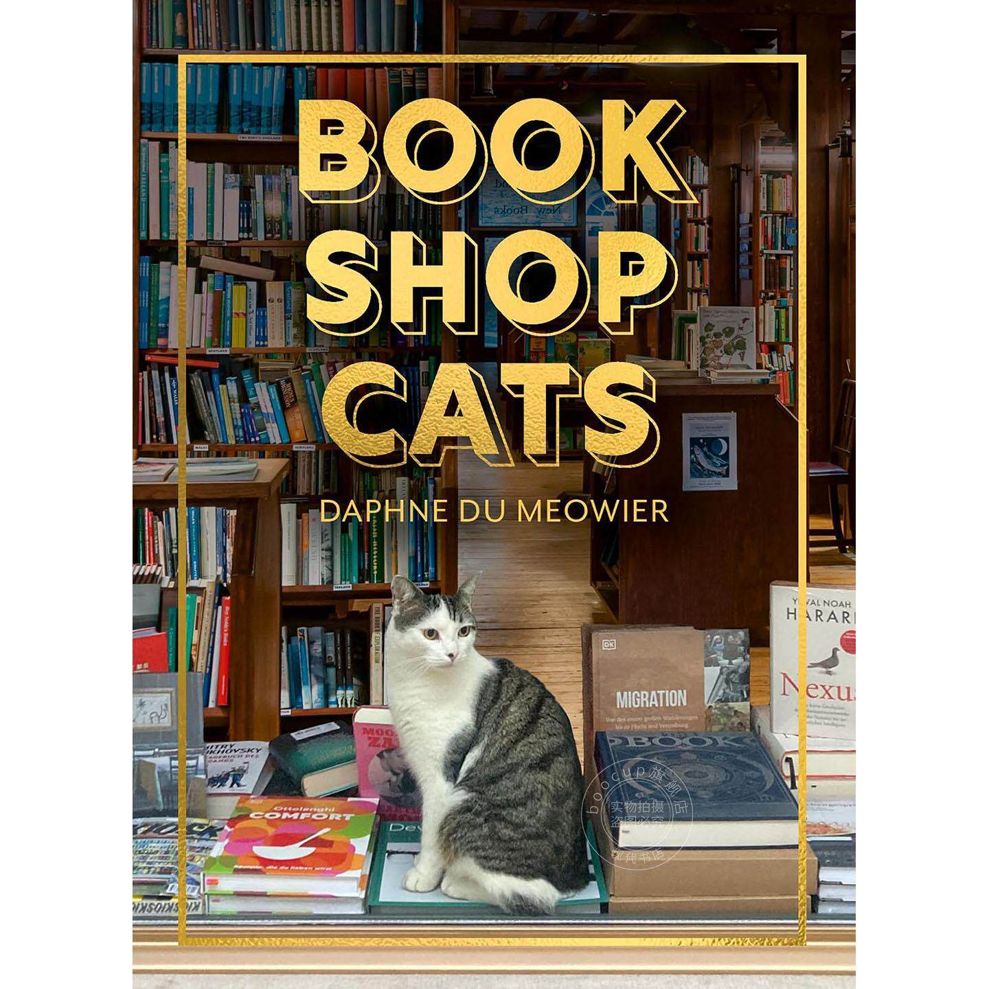 书店猫咪 动物摄影集 达芙妮·杜·喵耶尔 Daphne du Meowier HarperCollins出版社 英文原版 Bookshop Cats