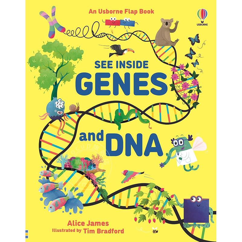 现货 查看基因和DNA内部 科普读物 Usborne出版社 英文原版 See Inside Genes & DNA 7+岁