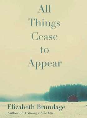 现货 万物停止出现 All Things Cease to Appear 网飞电影小说原著  所见所闻 Elizabeth Brundage 英文原版 惊悚悬疑小说