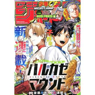 进口日文 週刊少年ジャンプ 周刊少年JUMP 2025年6月30号 付海贼王贴纸