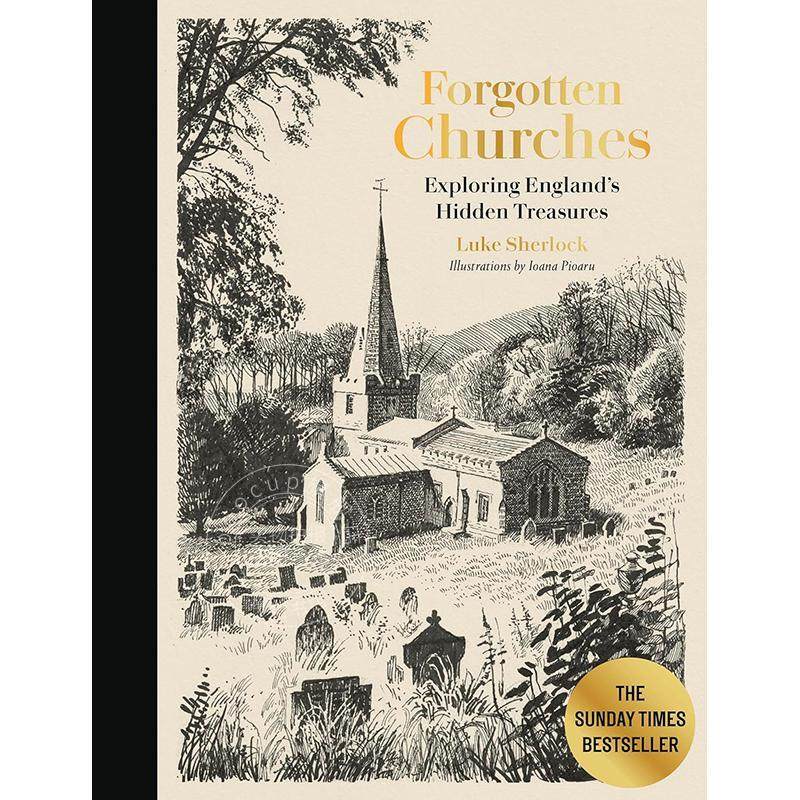 现货 被遗忘的教堂 探索英格兰隐藏的宝藏 英文原版 Forgotten Churches: Exploring England's Hidden Treasures
