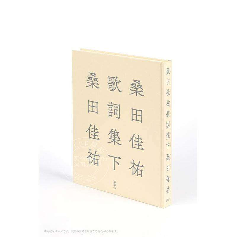 进口日文 桑田佳祐歌词集 下