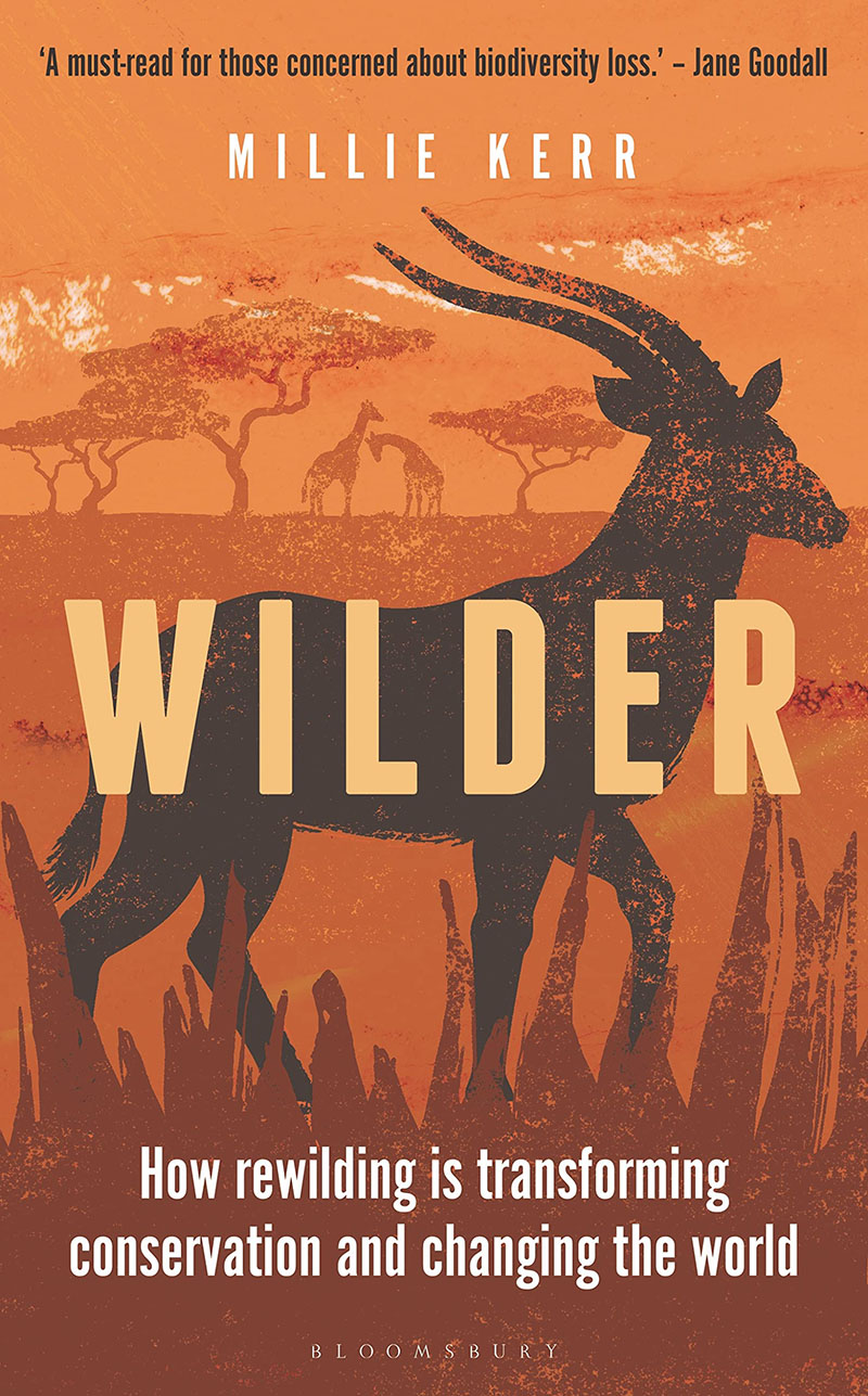 野生 重新野生化如何保护和改变世界 Millie Kerr 英文原版 Wilder