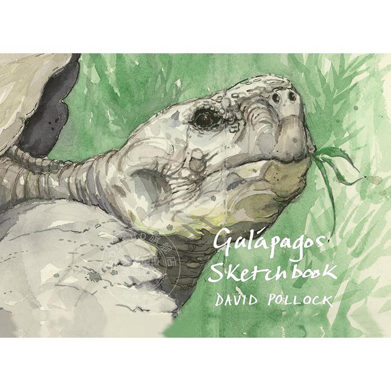 加拉帕戈斯速写本 David Pollock艺术画集 英文原版 A Galapagos Sketchbook