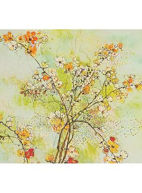 山茱萸繁花 明信片信封贺卡 文创周边 Peter Pauper Press 英文原版  Dogwood Blossoms Note Cards