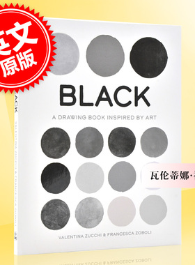 黑色:图画启发艺术 英文原版 Black : A Drawing Book Inspired by Art 瓦伦蒂娜·祖奇 艺术色彩画集 画册