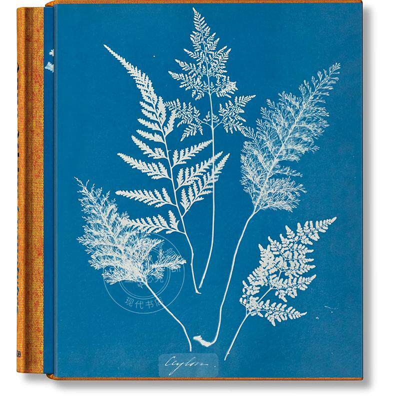 安娜·阿特金斯 蓝晒法 海藻蕨类植物画集 塔森出版社Taschen 进口原版 Anna Atkins. Cyanotypes 多语言