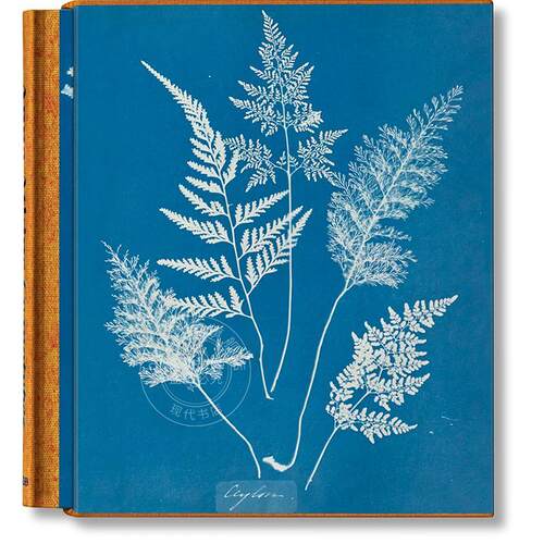 安娜·阿特金斯 蓝晒法 海藻蕨类植物画集 塔森出版社Taschen 进口原版 Anna Atkins. Cyanotypes 多语言