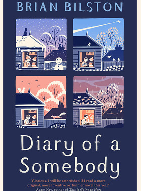 现货 一个人的日记 布赖恩·比尔斯顿 英文原版 Diary of a Somebody