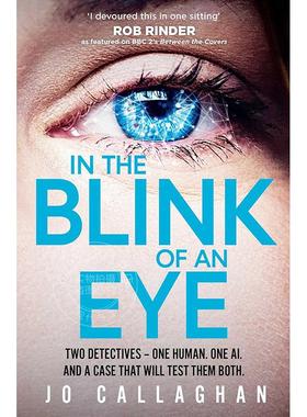 现货 眨眼之间 Jo Callaghan 英文原版 In The Blink of An Eye 外国文学小说书