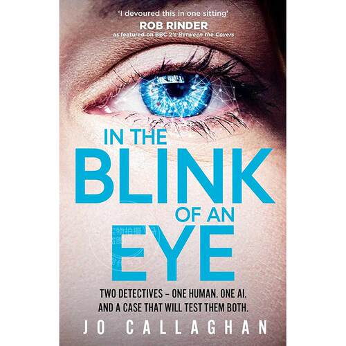现货 眨眼之间 Jo Callaghan 英文原版 In The Blink of An Eye 外国文学小说书