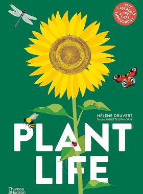 植物生长 Helene Druvert 海伦·德鲁维特 儿童科普绘本 精装精品绘本 英文原版 Plant Life 5-8岁