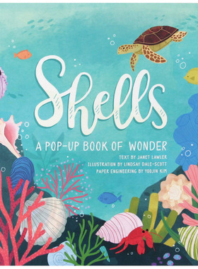 现货 贝壳：夏季立体书 四季立体书系列 英文原版 Shells: A Summer Pop-Up Book
