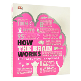 现货 图解大脑如何工作 英文原版How the Brain Works: The Facts Visually Explained DK百科精装书 简明解释技术原理