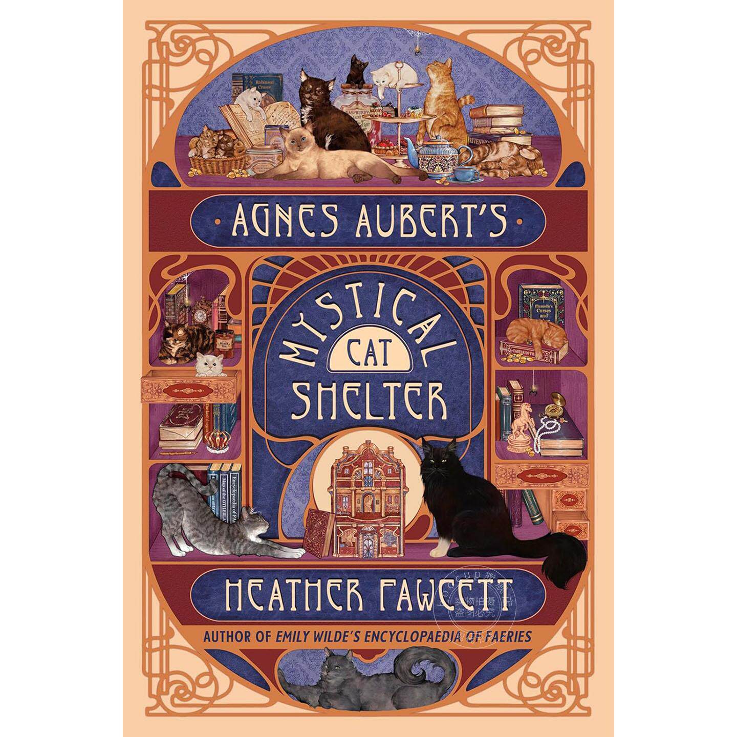 现货 阿涅丝·奥贝尔的神秘猫咪收容所 英文原版 Agnes Aubert's Mystical Cat Shelter