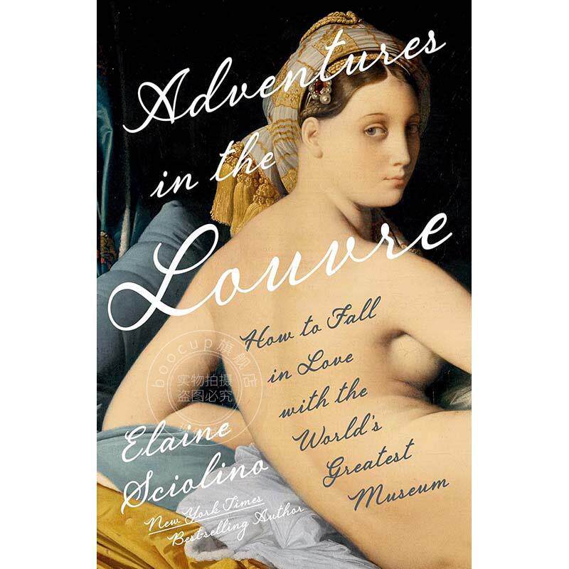现货 卢浮宫奇遇：爱上世界伟大博物馆的指南 英文原版 Adventures in the Louvre: How to Fall in Love with the World's Greate