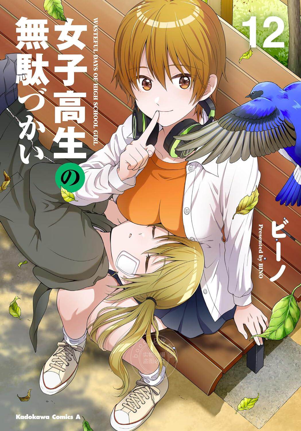 进口日文 漫画 女高中生的虚度日常 女子高生の無駄づかい 12