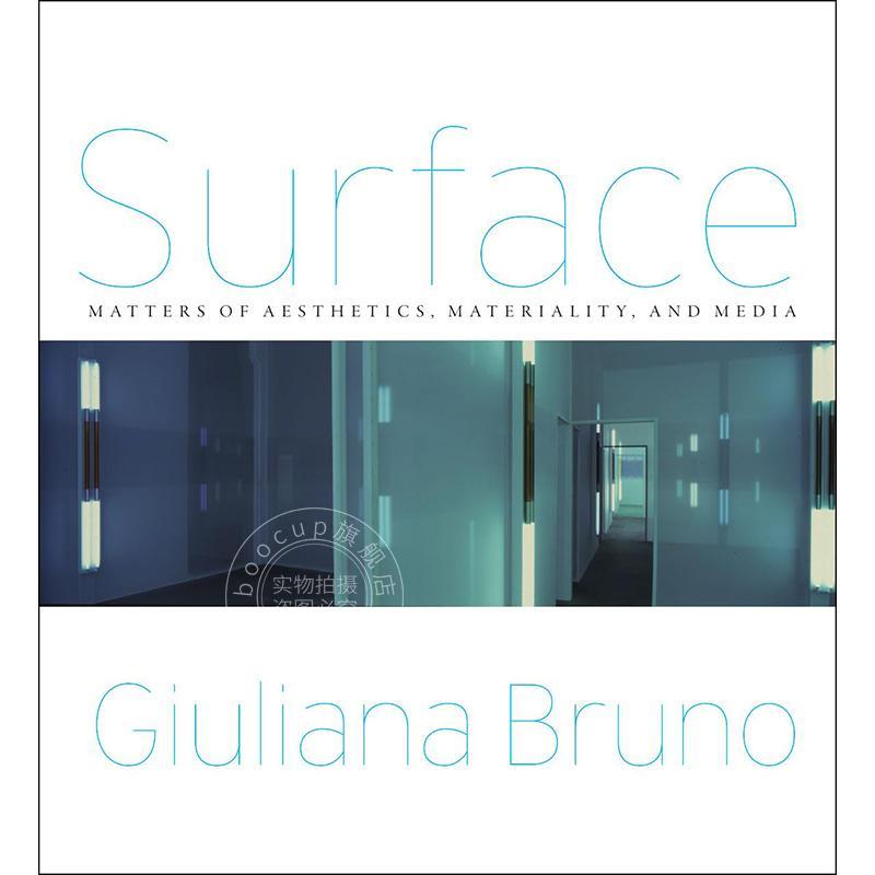 表面:美学、物质性与媒介 建筑历史 英文原版 Surface: Matters of Aesthetics Materiality and Media