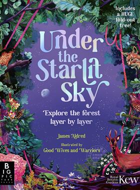 星光之下：逐层探索森林 儿童科普绘本 英文原版 Under the Starlit Sky: Explore the Forest Layer By Layer 7-9岁
