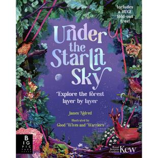 星光之下：逐层探索森林 儿童科普绘本 英文原版 Under the Starlit Sky: Explore the Forest Layer By Layer 7-9岁