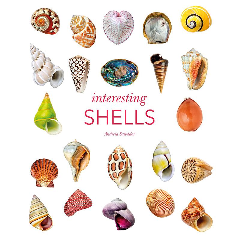 有趣的贝壳 艺术科普画集 英文原版 Interesting Shells