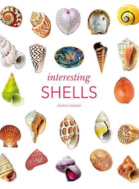 有趣的贝壳 艺术科普画集 英文原版 Interesting Shells