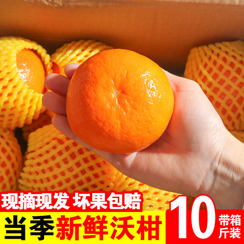 正宗广西武鸣沃柑10斤新鲜现摘纯甜爆汁孕妇水果整箱包邮大柑橘子,水产肉类/新鲜蔬果/熟食,橙,淘宝优惠券,粉丝福利购,淘宝优惠卷