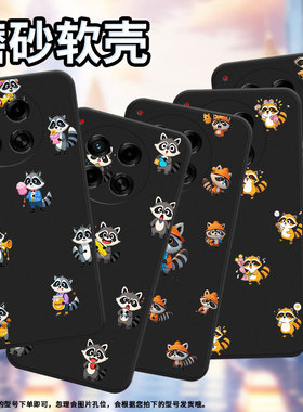 适用传音TecnoCamon30Pro手机壳高级感Camon30sPro防摔TecnoCamon30磨砂壳Camon30sQ版浣熊全包边保护套