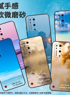 适用坚果r1手机壳手机r2潮流r2海阔天空DT2002C商务高级感中国风保护套水天一色in风秋天风景暮景残光耐磨