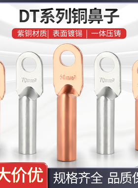 铜鼻子DT10/25/35/50/95-500平方接线端子堵油铜接头线耳线鼻子