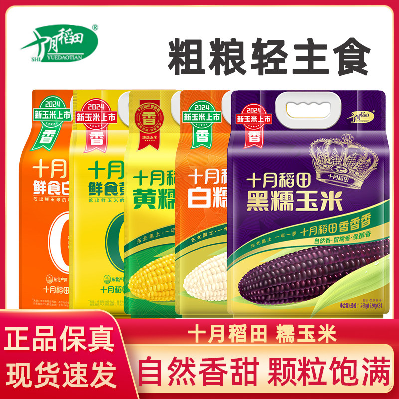 十月稻田黄糯玉米棒白糯粘黏甜软新鲜早餐苞米东北真空袋包装
