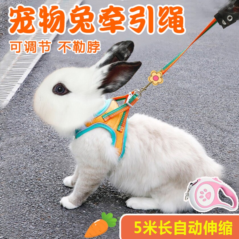 猫咪兔子牵引绳背带挣脱外出链子专用绳子调节背心宠物用品项圈