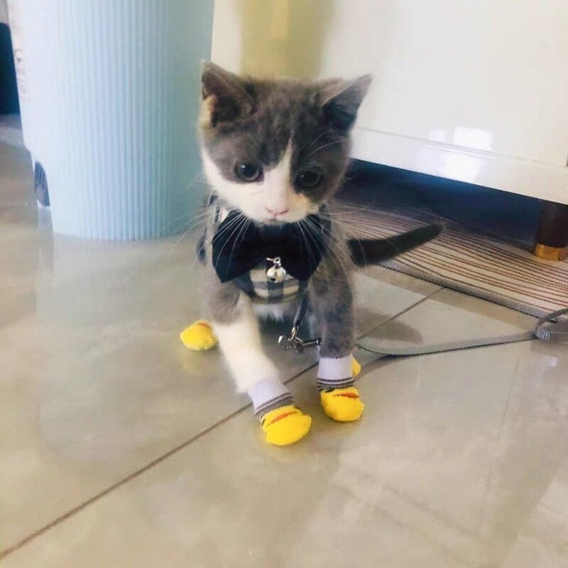 猫咪牵引绳幼猫遛猫绳小猫防挣脱链子舒适材质可爱背心式猫绳包邮
