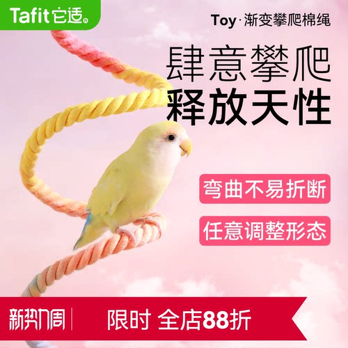 它适鹦鹉旋转攀爬绳玄凤牡丹虎皮秋千攀爬玩具棉绳站杆鸟鹦鹉用品