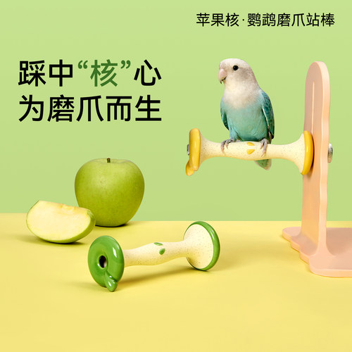 【养鸟必备】高端站杆