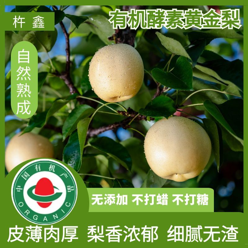有机酵素黄金梨自然熟不打蜡