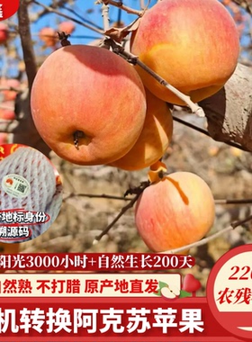 正宗新疆阿克苏苹果绿色地标认证无添加不打蜡自然熟原产地直发
