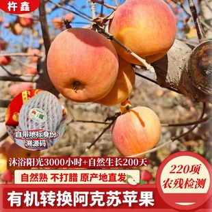 正宗新疆阿克苏苹果绿色地标认证无添加不打蜡自然熟原产地直发