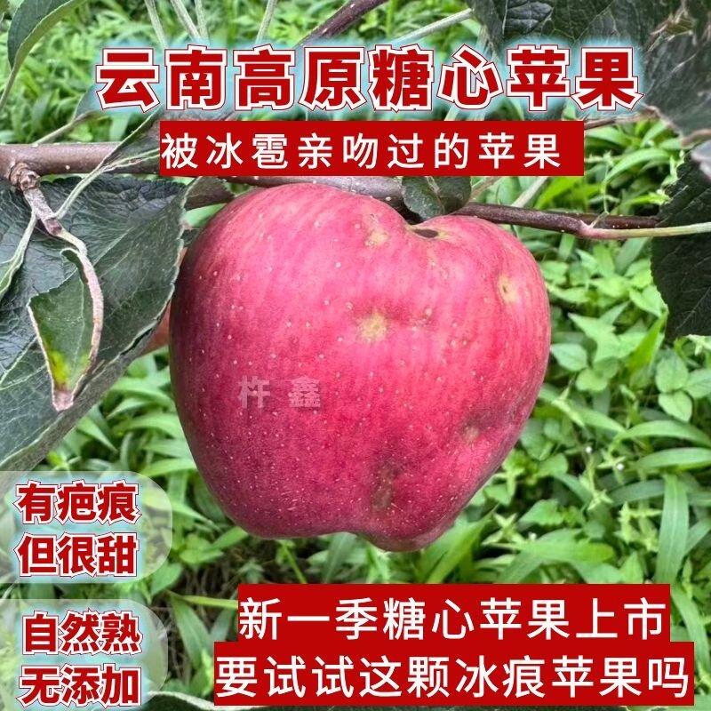 不打蜡不催熟云南高原苹果冰糖心