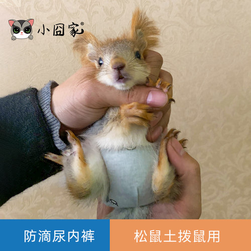 松鼠土拨鼠换洗尿布清洁吸水
