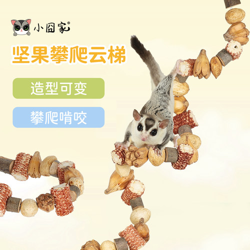 松鼠攀爬啃咬磨牙玩具