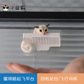 蜜袋鼯飞行跳台起飞平台用品玩具饲养箱家具站台小飞鼠滑翔训练